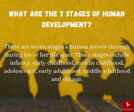 human development across the lifespan assignment help
