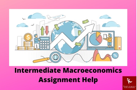 intermediate macroeconomics assignment help