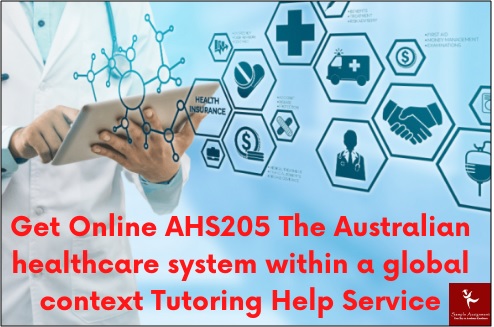 ahs205 the australian healthcare system within a global context assessment answer