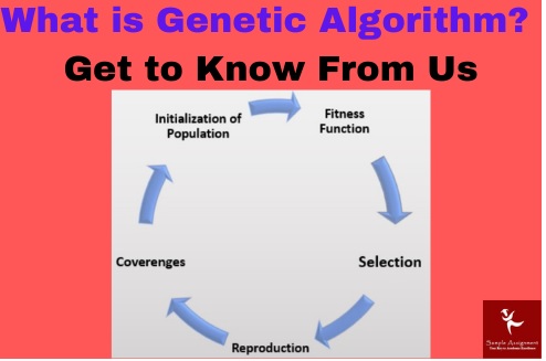 genetic algorithms assignment help