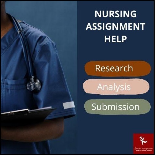 Nursing Assignment Help1