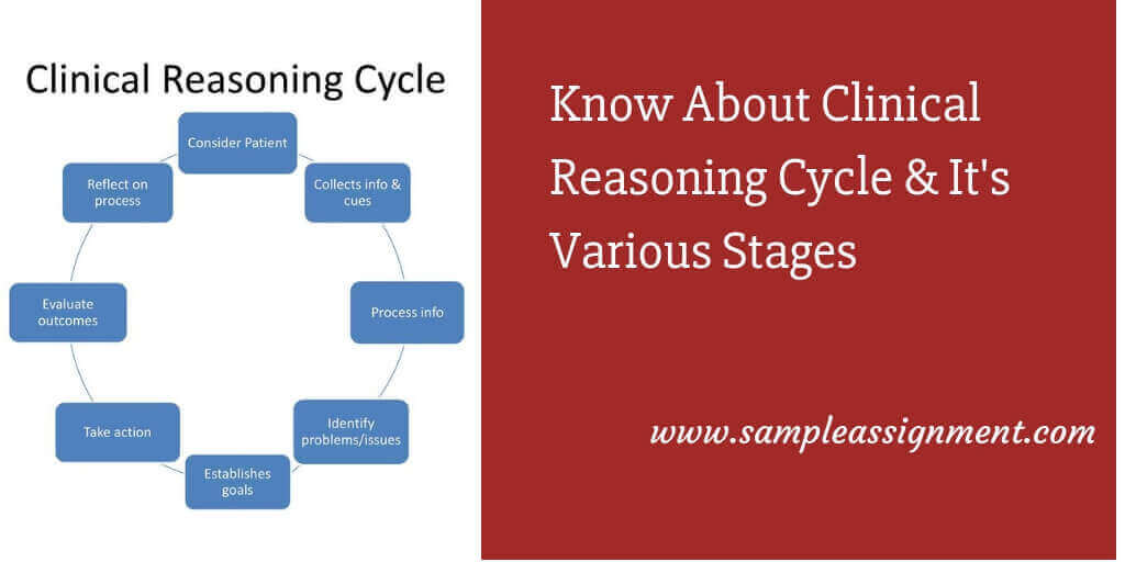 clinical reasoning cycle