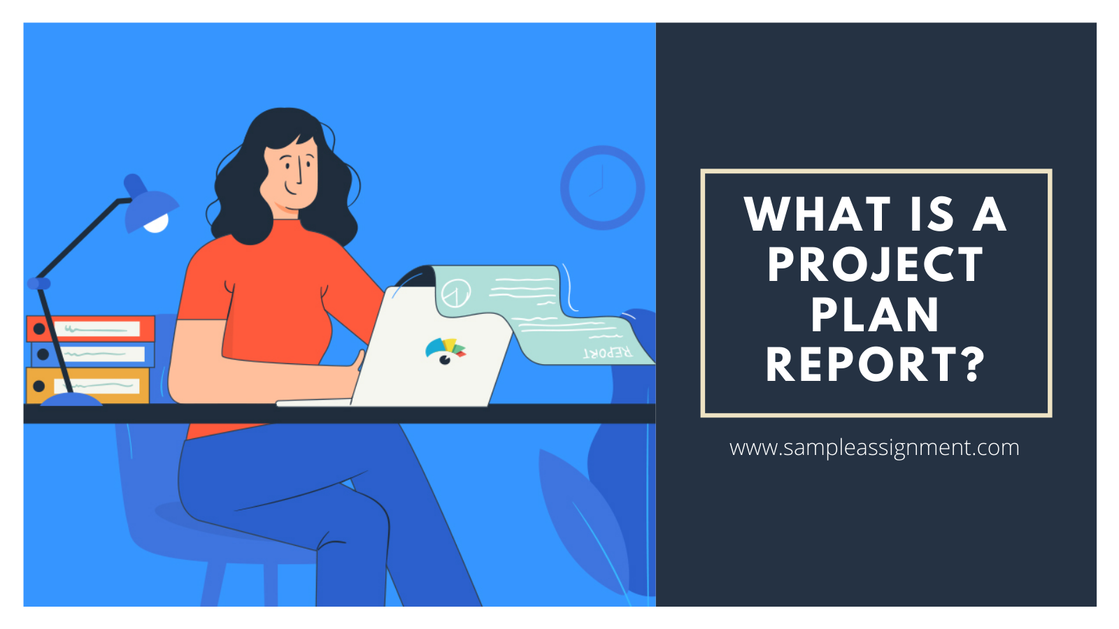 What is a Project Plan Report?