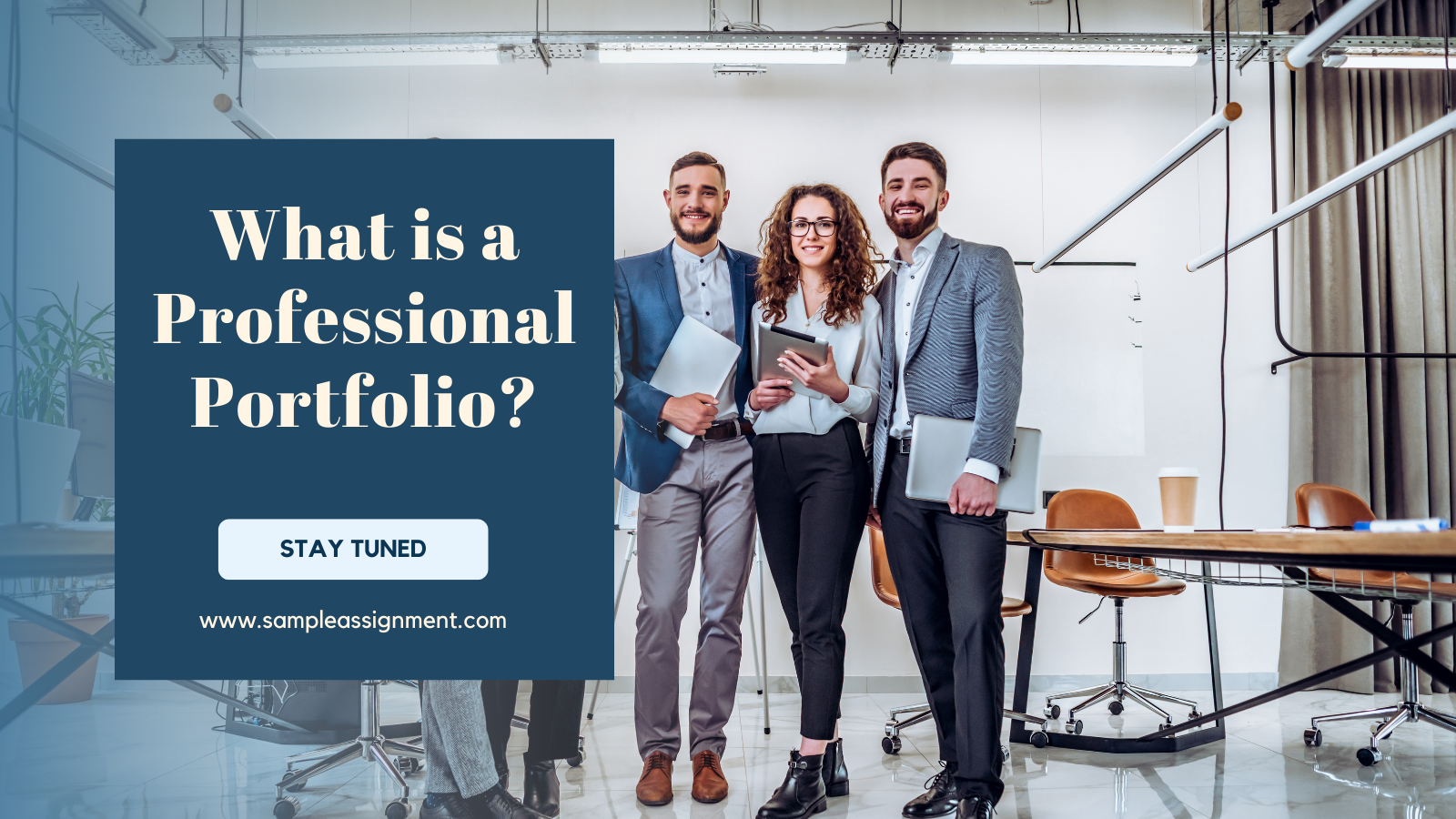What is a Professional Portfolio